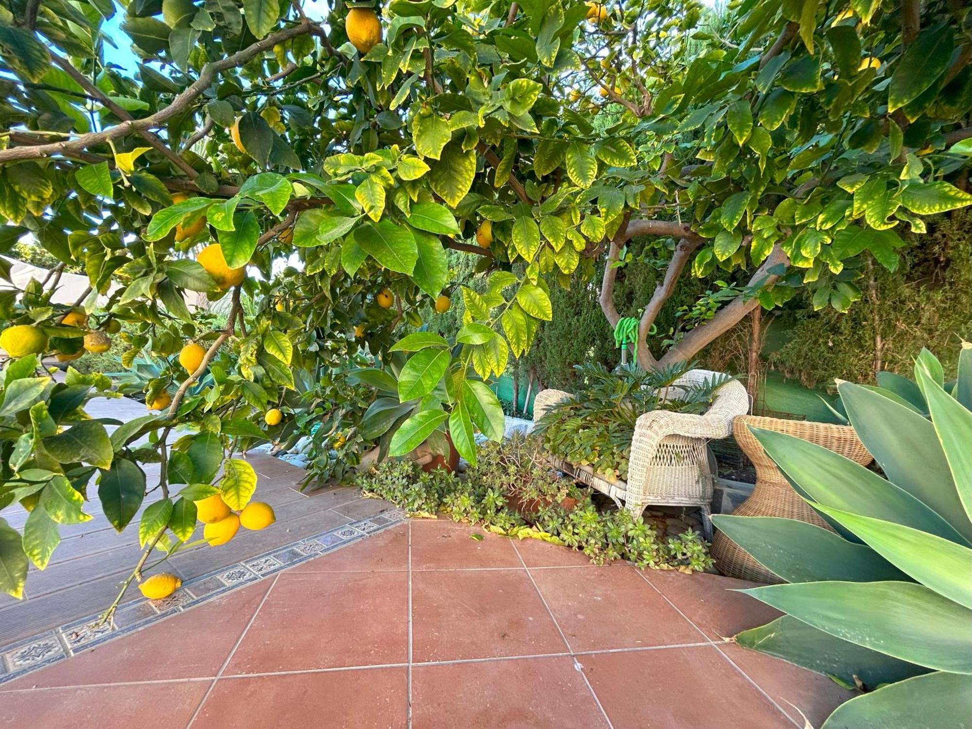 Casa Luna Llena Calpe Luaran gambar
